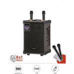 Başkenttekno D71 Profesyonel Çift Mikrofonlu Kablosuz Hoparlör 8 inç 40W Bass Ses Kutusu USB Girişi