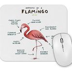 Baskı Dükkanı Bir Flamingo Anatomisi 2 Mouse Pad