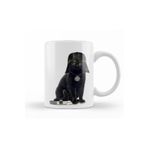 Baskı Dükkanı KB9492 Kedi Star Wars Cat Vader Porselen Kupa Bardak