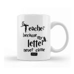 Baskı Dükkanı Teacher Because My Letter Never Came Kupa