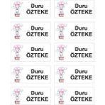 Baskı Madeni Isimli Okul Etiketi Defter Kitap Etiketi