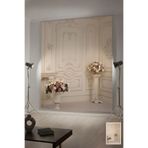 Baskı Madeni kutlama, nişan, moda, plato temalı modern Arka plan, 200x300 Cm Şık Stüdyo çekim Fonu