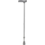 Baston - 1