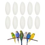 BASTOUR Kalamar kemiği kuşlar, kalamar kemiği, kaplumbağa için kalamar kemiği, çiğneme oyuncağı, kuşlar, kalsiyum kuşu, sürüngenler, kaplumbağalar, salyangozlar, küçük hayvanlar için oyuncak, 10 adet