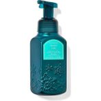 Bath & Body Works Frozen Lake Köpük Sabun 259 ml