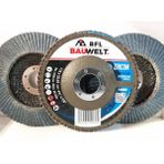 Bauwelt Inox ÇAP115 Z040 5 Adet Flap Disk Zımpara