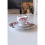 Bavaria Edelstein 73 Pembe Gül Desenli Vintage Çay Fincanı Seti 3 Parça - 200 ml