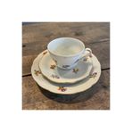 Bavaria Vintage Leuchtenburg Çay Fincanı & 19 cm Pasta Tabağı – İnce Porselen, Çiçek Desenli