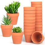 Baxrou Terra Cotta Saksı, 24'lü Paket 7,5 cm Mini Kil Saksı, Drenaj Delikli Kaktüs Çiçek Kreş Pişmiş Toprak Saksılar İç/Dış Mekan Etli Bitkiler için, El Sanatları, Düğün Hediyesi