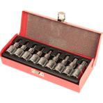 Bay-Tec Pcs 1/2 Torx Lokma Takımı (Erkek)