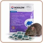 Bayer-Envu Rodilon Pasta Fare Zehiri | 100 Gram