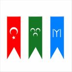 BAYRAKAL 50x150 cm Osmanlı Kayı Boyu ve Türk Saten Kırlangıç Bayrağı