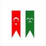BAYRAKAL 50x150 cm Osmanlı Yeşil 3 Hilal ve Türk Saten Kırlangıç Bayrağı