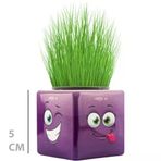 Baysan Mini Küp Emoji Çim Adam - Eğitici Ve Dekoratif Bitki Yetiştirme Seti