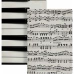 Bazen Defter Müzik Ikili Defter Seti - 2 Adet - --