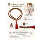 Bbcn Rudraksha Mala Kolye 108'Li Orjinal