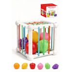 BBSKY Montessori Meyve Tanıma ve Zeka Geliştirici Duyusal Küp-Bebek Aktivite Oyuncağı, İnce Motor Gelişimi