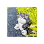 BC Sinirli kedi tatlı pelus oyuncak 30 cm sevgiliye hediye arkadaşa hediye doğum günü supriz