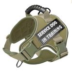 Bcadem Taktik Köpek Koşum, Orta Büyük Köpekler için Çekme Askeri Evcil Hayvan Koşum, Ayarlanabilir Servis Köpek Yelek Koşum Gece Yansıtıcı, Yürüyüş, Eğitim için Kolay Kontrol Kolu (Yeşil)