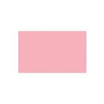 BD Backgrounds 117 Pastel Pink Stüdyo Fon
