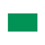BD Backgrounds 162 Foto Green Stüdyo Fon