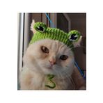 Be Cat Sevimli Kurbağa Kedi Şapka & Başlık Aksesuarı, El Örgüsü,Evcil Hayvan Aksesuar