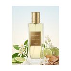 Be dione – Aella (K14) Kadın Parfümü 50 ml | Kalıcı Çiçeksi – Meyvemsi – Amber Eau de Parfum