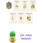 Beatrix Potter 7 Kitap Seti + Çim Adam Hediye - Hayır