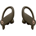 Beats Powerbeats Pro Bluetooth Kulaklık
