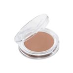 Beaulis Burn It 192 Natural Bronze Toz Bronzer