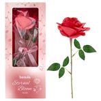 Beaulis Eternal Bloom Gül Allık 333 Rosy Veil