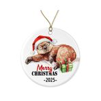 Beaver Noel Süsü - Sevimli Tembel Hayvan Takan Gözlük - Hayvan Süsü - Seramik Tatil Hatırası - Noel Dekoru - Her İki Yüze de Hayvan Aşığı Baskılı