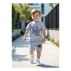 bebekpare Erkek Çocuk Tshirt Şort Takım Örümcek/Süper Kahraman Gri 6 Yaş