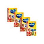 Bebelac 4 Çocuk Devam Sütü 1 Yaş 4 X 800 G