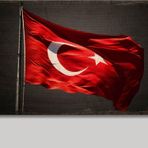 Bedeko Ahşap Tablo Direkte Türk Bayrağı Baskılı