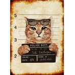 Bedeko Şüpheli Kedi Hediyelik Mdf Tablo