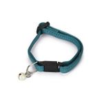 Beeztees 23 cm Yeşil Yavru Kedi Tasması