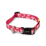 Beeztees 48-70 cm 25 mm Pembe Köpek Tasması