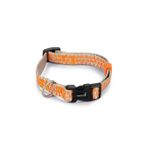 Beeztees Açık Gri Turuncu 26-40 cm Köpek Boyun Tasması