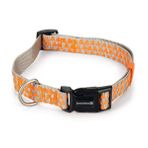 Beeztees Açık Gri Turuncu 48-70 cm Köpek Boyun Tasması