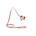 Beeztees Hearts Kırmızı 120 cm Yavru Kedi Göğüs Tasması ve Gezdirme Kayışı