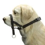 Beeztees Köpek Eğitim Tasması, Siyah, S