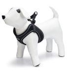 Beeztees Köpek Göğüs Tasması, Neopren, Siyah, S, 38-44cm