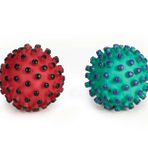 Beeztees Köpek Oyuncağı, Top, Vinyl, Çeşitli Renklerde, L, 12Cm