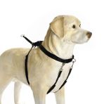 Beeztees Köpek Yürüyüş Eğitim Ve Düzeltme Tasması, L