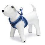 Beeztees Neopren Mavi XS 30-35 cm Köpek Göğüs Tasması