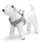 Beeztees Neopren Yeşil S 38-44 cm Köpek Göğüs Tasması