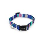 Beeztees Renkli Kalın Çizgiler 48-70 cm 25 mm Köpek Boyun Tasması