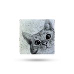 Begoloni Stone Decor Doğal Taş Nihale 15x15cm Kedi Baskılı Taş Nihale Çaydanlık Altlığı-tencere Tava Altlığı