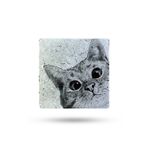 Begoloni Stone Decor Doğal Taş Nihale 20x20cm Kedi Baskılı Taş Nihale Çaydanlık Altlığı-tencere Tava Altlığı